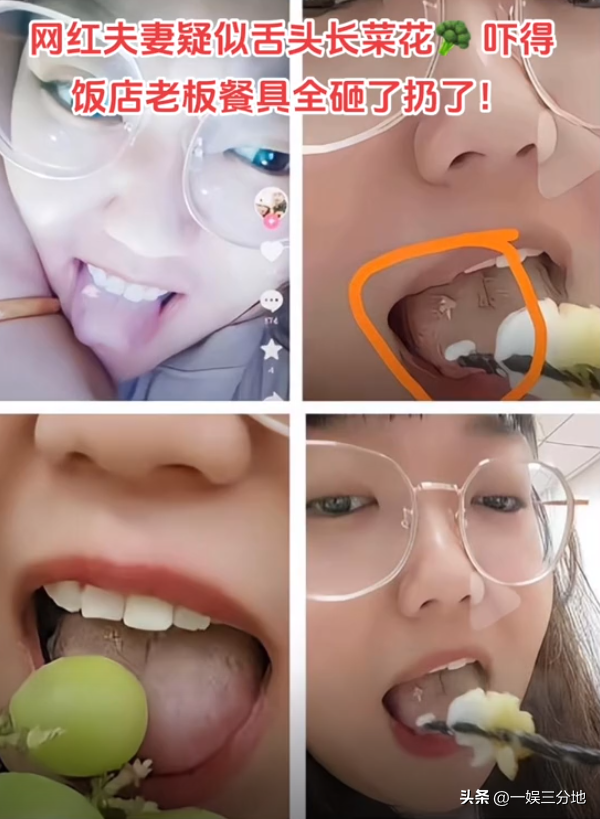 网红“菜花夫妇”退网风波：一场信任危机下的众生相
