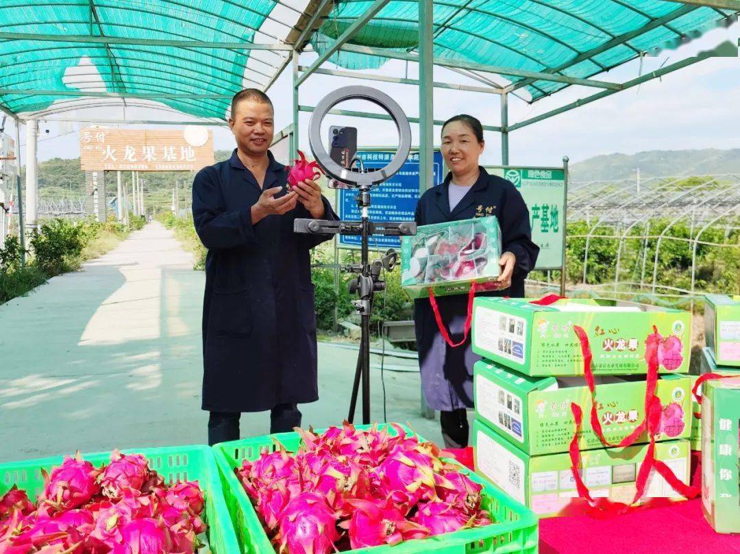 后塘村号付农场 火龙果：“匠心路”赢得丰收季