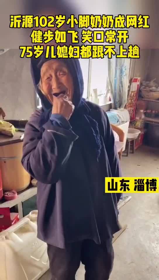 网红家的猫狗，年入百万，活得比人还爽？真相扎心了
